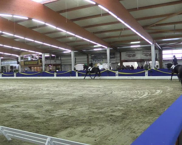 Reitturnier Isterberg 2017