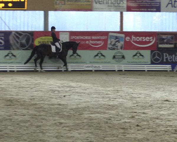 Reitturnier Isterberg 2017