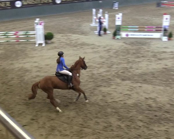 Reitturnier Warstein 2017