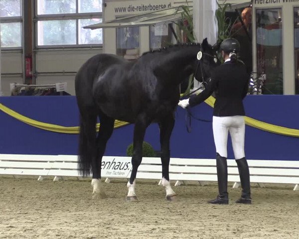 Reitturnier Isterberg 2017