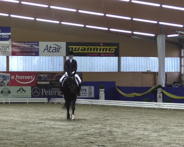 Reitturnier Isterberg 2017