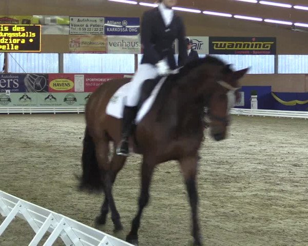Reitturnier Isterberg 2017