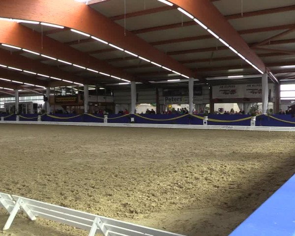 Reitturnier Isterberg 2017