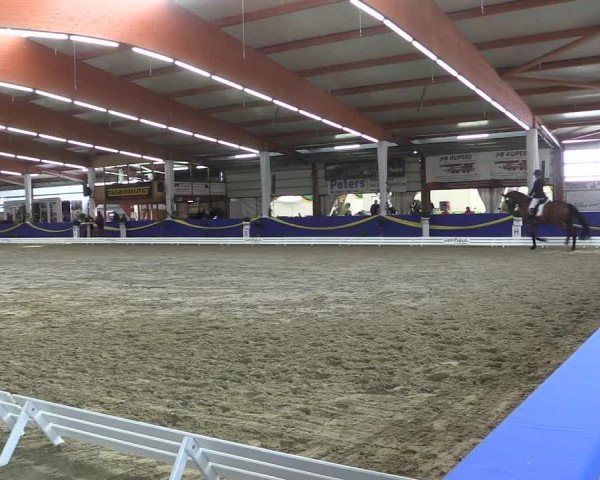 Reitturnier Isterberg 2017