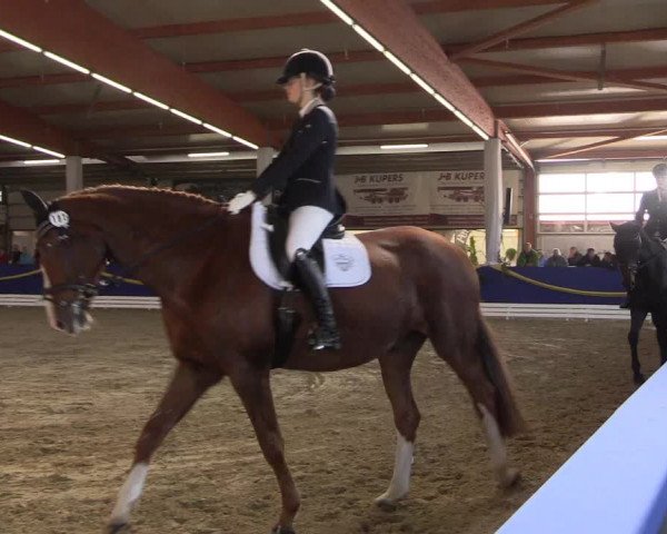 Reitturnier Isterberg 2017