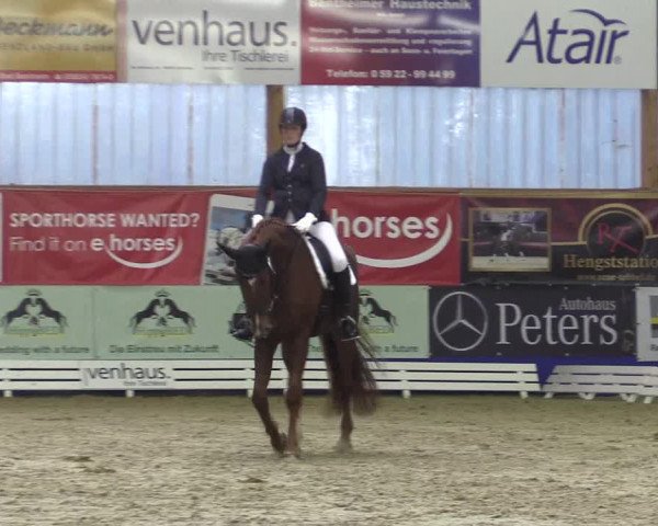 Reitturnier Isterberg 2017