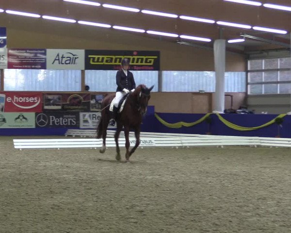 Reitturnier Isterberg 2017