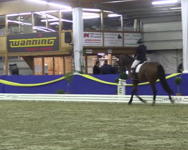 Reitturnier Isterberg 2017