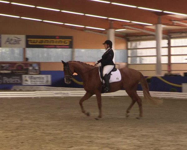 Reitturnier Isterberg 2017