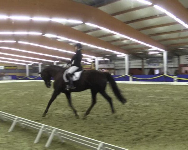 Reitturnier Isterberg 2017