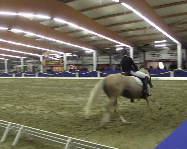 Reitturnier Isterberg 2017
