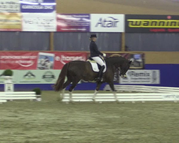 Reitturnier Isterberg 2017