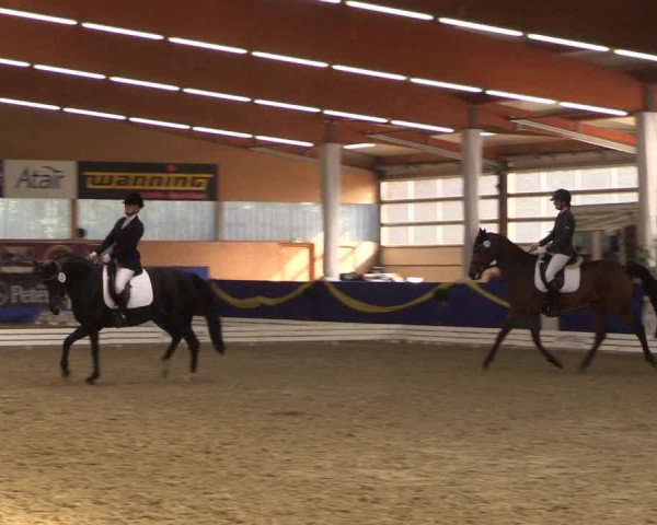 Reitturnier Isterberg 2017
