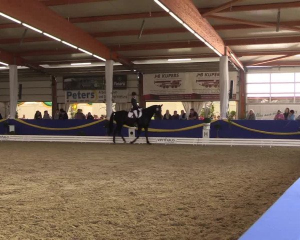 Reitturnier Isterberg 2017