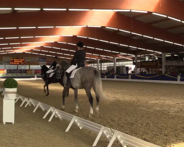 Reitturnier Isterberg 2017