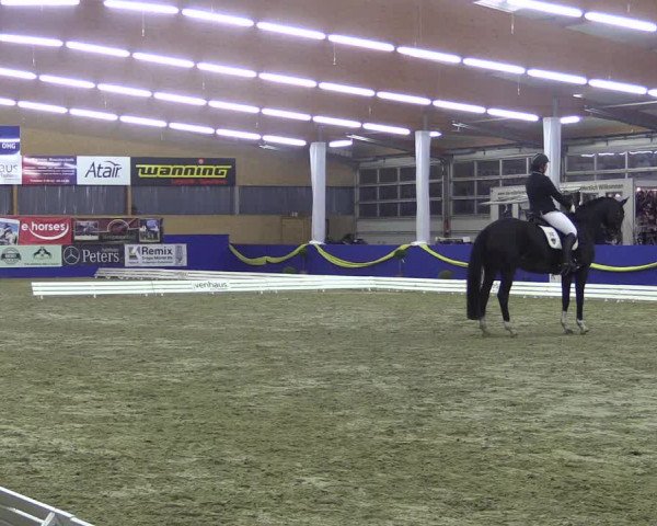 Reitturnier Isterberg 2017