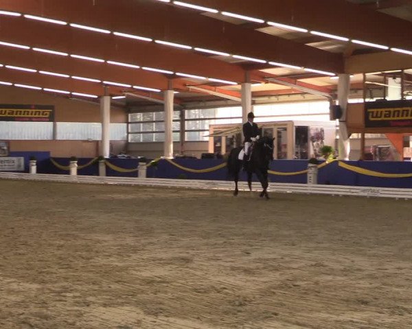 Reitturnier Isterberg 2017