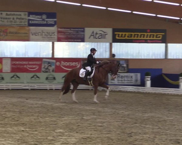Reitturnier Isterberg 2017