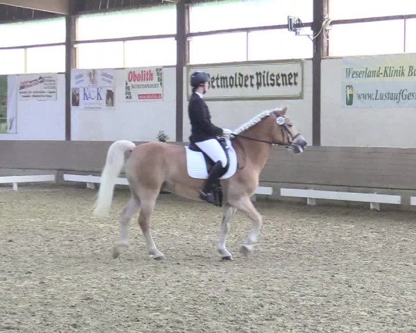 Reitturnier Vlotho-Valdorf 2017