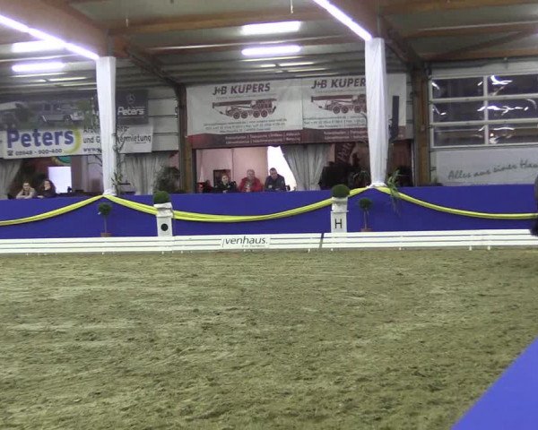 Reitturnier Isterberg 2017
