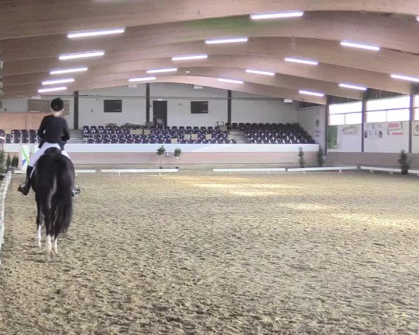 Reitturnier Vlotho-Valdorf 2017