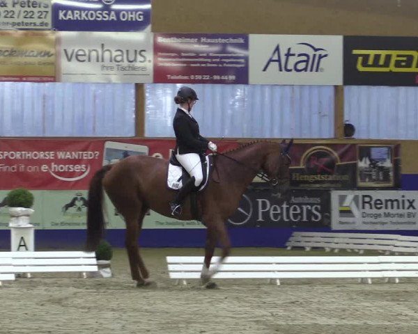 Reitturnier Isterberg 2017