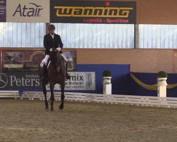 Reitturnier Isterberg 2017