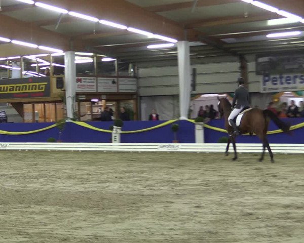 Reitturnier Isterberg 2017