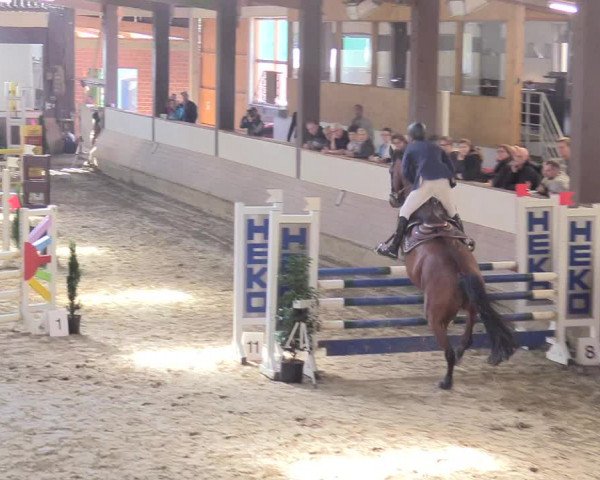 Reitturnier Vlotho-Valdorf 2017