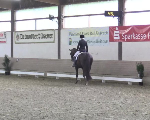 Reitturnier Vlotho-Valdorf 2017