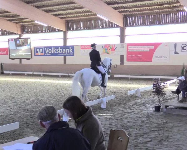 Reitturnier Vlotho-Valdorf 2017