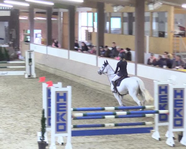 Reitturnier Vlotho-Valdorf 2017