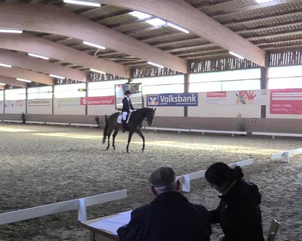 Reitturnier Vlotho-Valdorf 2017