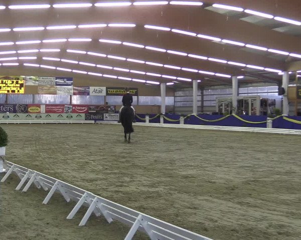 Reitturnier Isterberg 2017