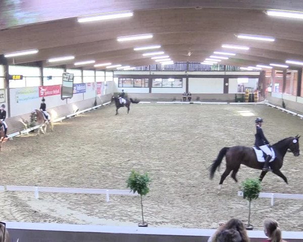 Reitturnier Vlotho-Valdorf 2017