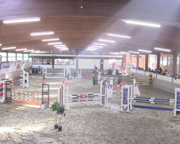 Reitturnier Vlotho-Valdorf 2017
