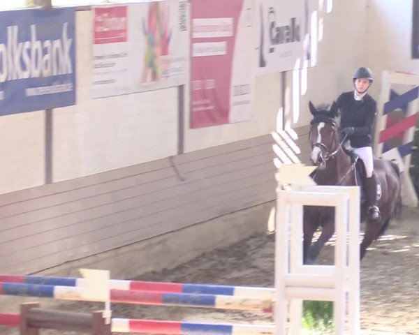 Reitturnier Vlotho-Valdorf 2017