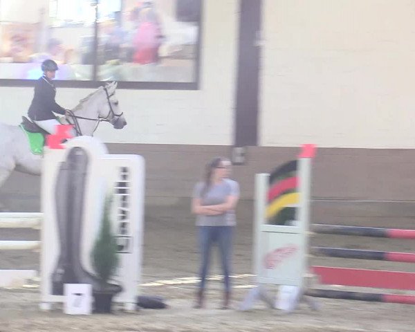 Reitturnier Vlotho-Valdorf 2017