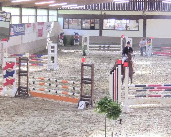 Reitturnier Vlotho-Valdorf 2017