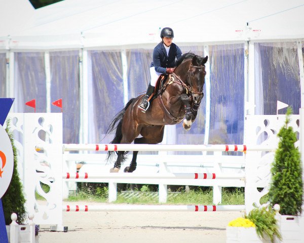 Springpferd Contendro World (Westfale, 2010, von Contendro I)