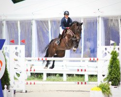 Springpferd Contendro World (Westfale, 2010, von Contendro I)