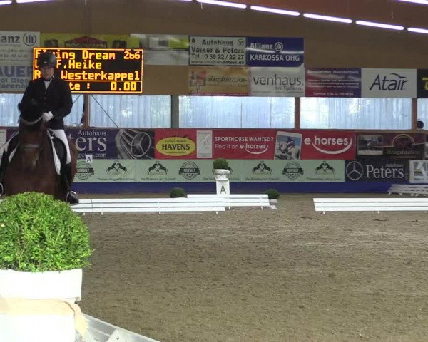 Reitturnier Isterberg 2017