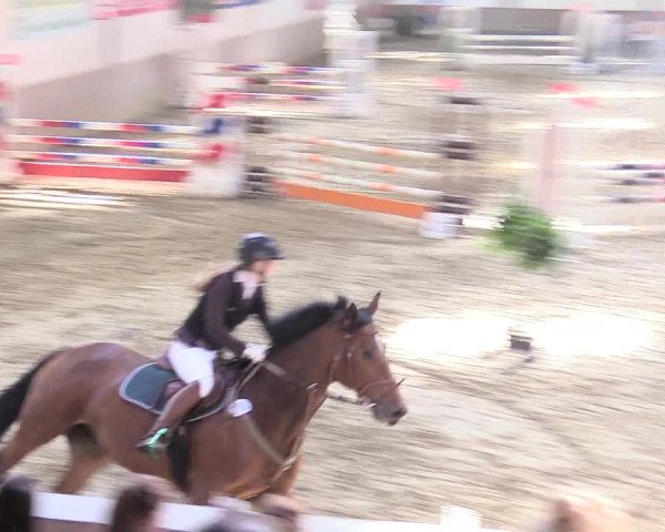 Reitturnier Vlotho-Valdorf 2017