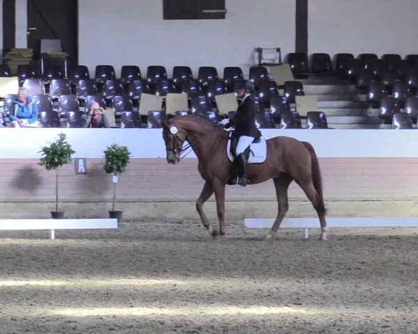 Reitturnier Vlotho-Valdorf 2017