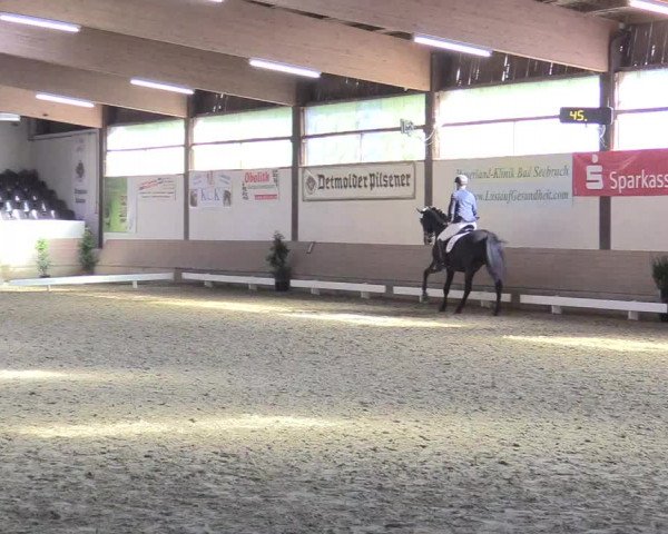 Reitturnier Vlotho-Valdorf 2017