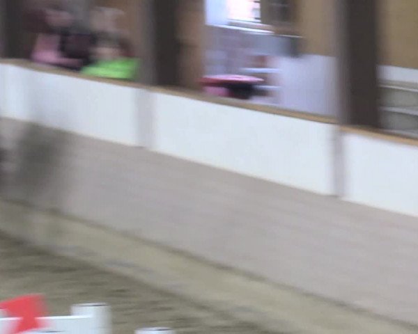 Reitturnier Vlotho-Valdorf 2017