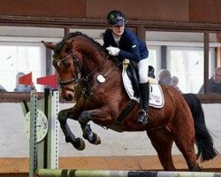 jumper L'Amour 111 (Hanoverian, 2012, from Levisonn 208 FIN)