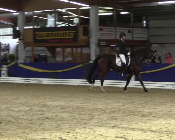 Reitturnier Isterberg 2017