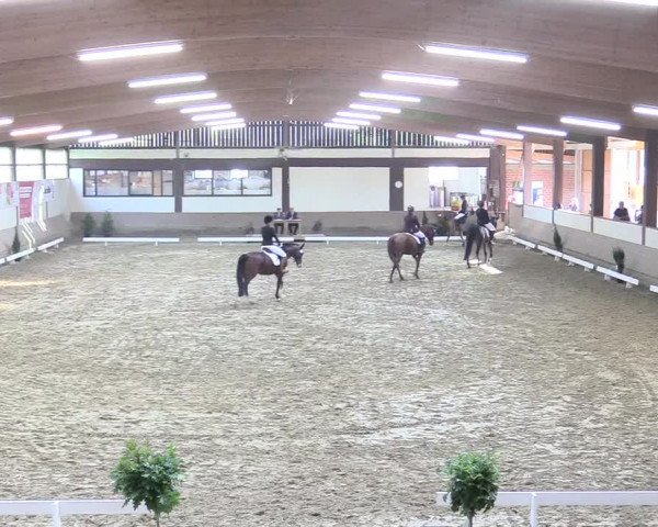Reitturnier Vlotho-Valdorf 2017