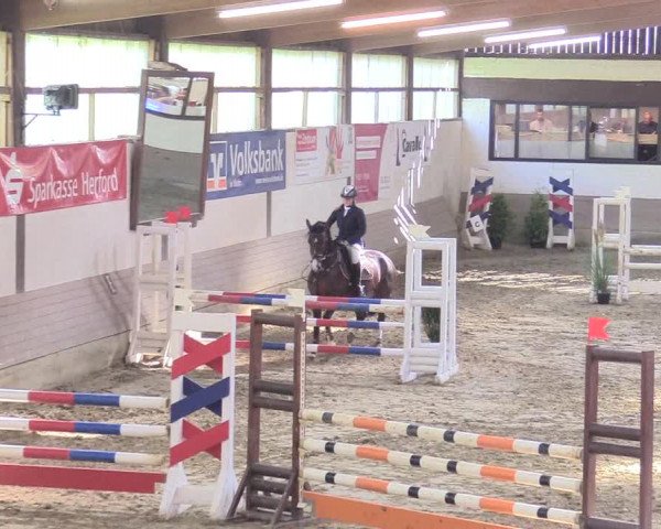 Reitturnier Vlotho-Valdorf 2017